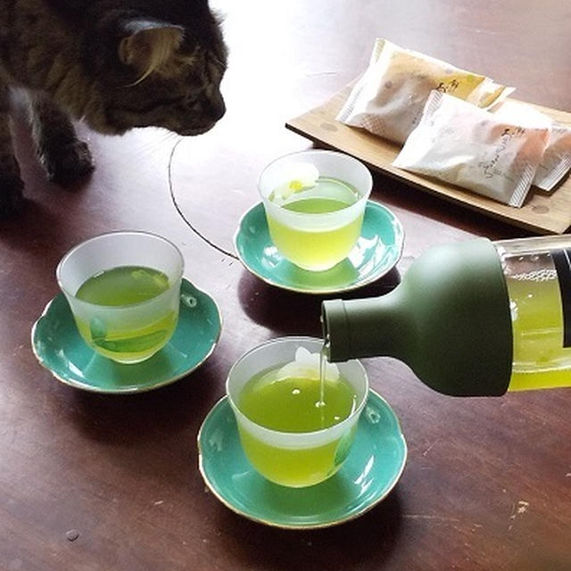 水出し緑茶にハマり中♪