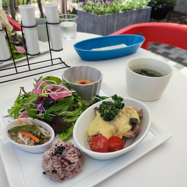 DOCTOR'S CREATION CAFE 87