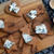 ★recipe★　Pepperkake med blåmuggost（ジンジャーブレッドと青カビチーズ）