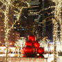 NewYork ⑩ Hiltonホテル横、THE HALAL GUYS（屋台）で、チキンライス♪