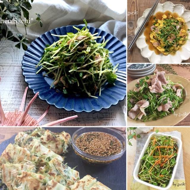 野菜高騰💦役立ち『豆苗』レシピ5選♡