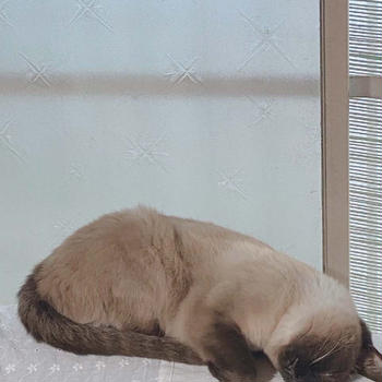今週末はばーどさんのパンの日です^_^