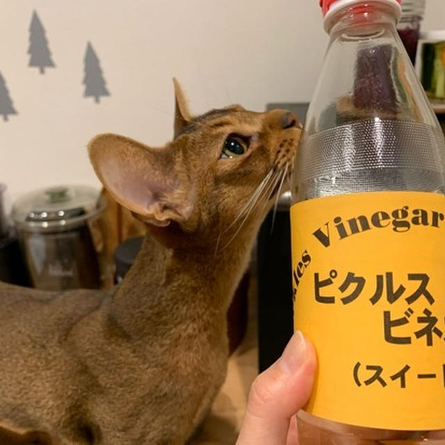 三留商店さんのピクルスビネガーと、冷蔵庫整理（苦手…）