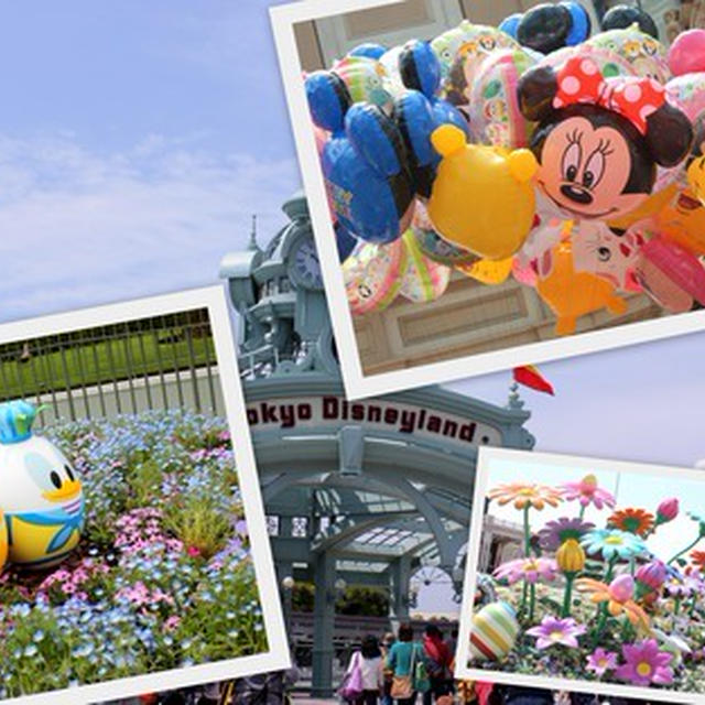 Tokyo Disneyland 2015