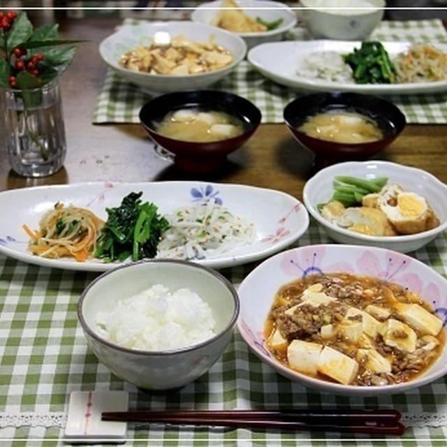 ・麻婆豆腐＆おいしい～野菜ナムル３種