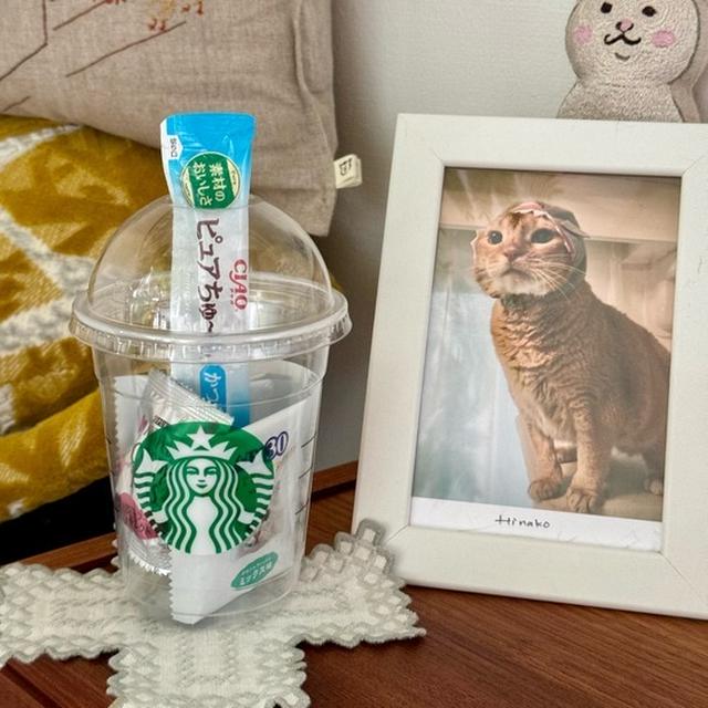 フラペチーノとひなちゃん