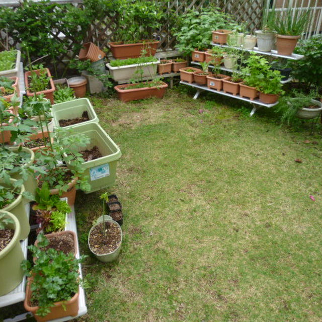 家庭菜園