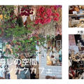 大阪おすすめドライフラワーカフェ、どこから見てもお花でいっぱい癒しの空間「サンカクストア」