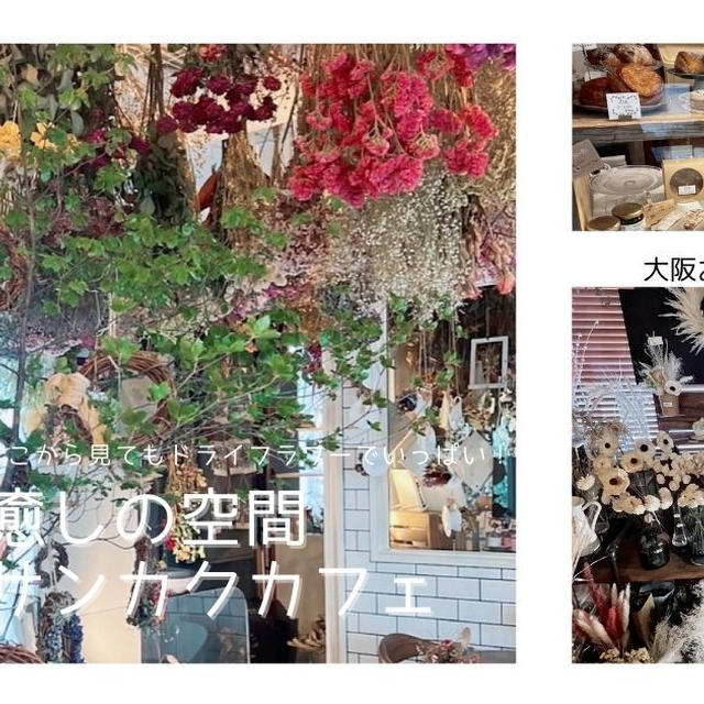 大阪おすすめドライフラワーカフェ、どこから見てもお花でいっぱい癒しの空間「サンカクストア」