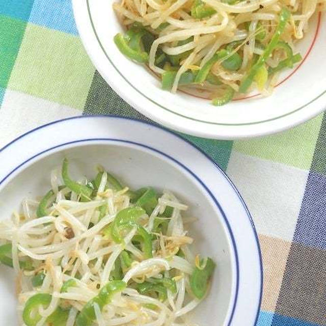 レンジで簡単！もやしとピーマンの塩ナムルとカレーナムル。