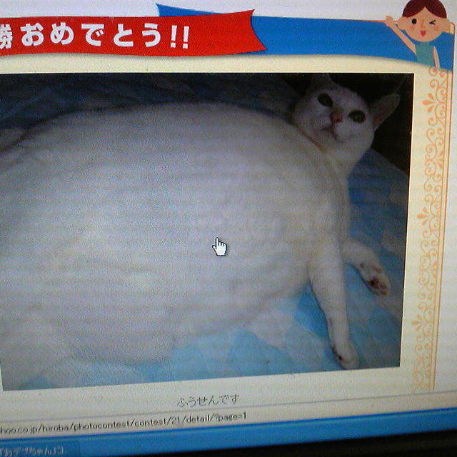 チャンピオン
