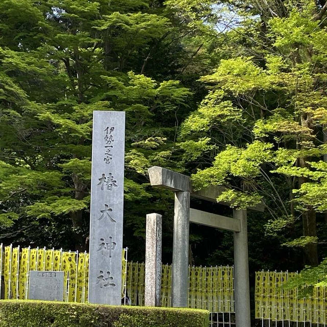 迷ったらここへ！ 人生の分岐点で訪れたい神社！椿大神社の不思議な魅力！