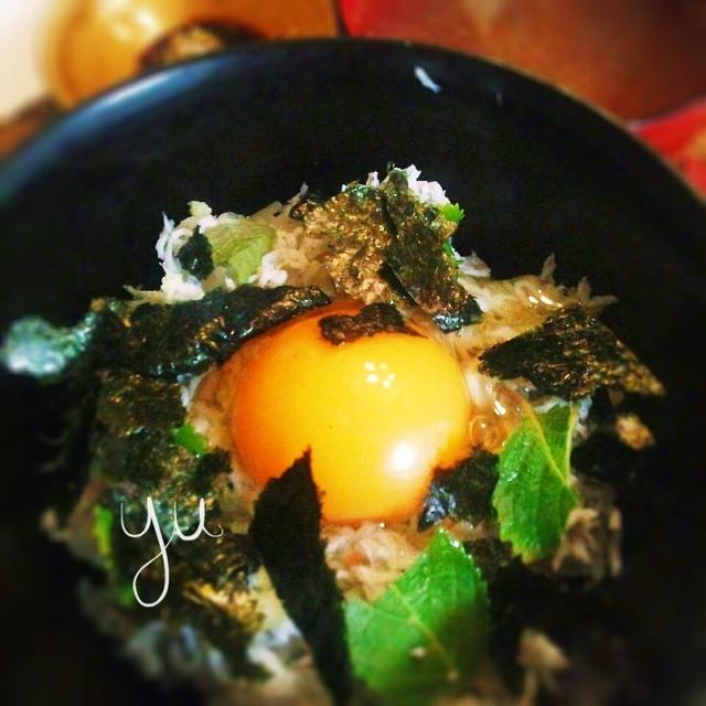 しらす丼
