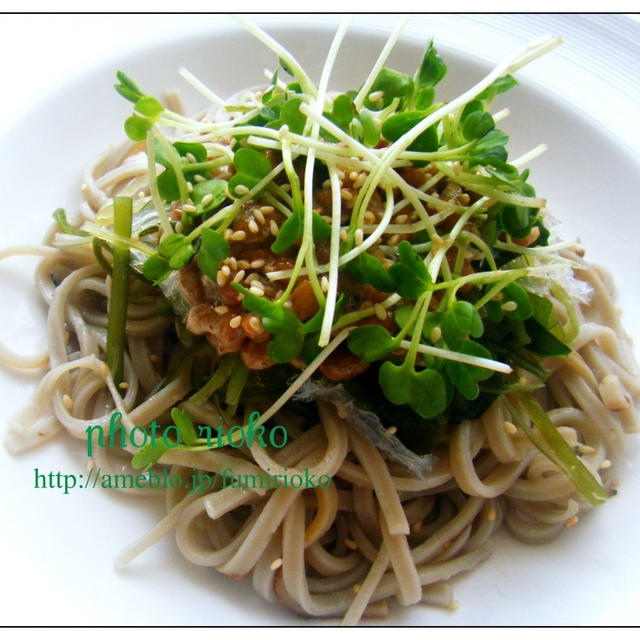 ●ねばねば納豆サラダうどん●