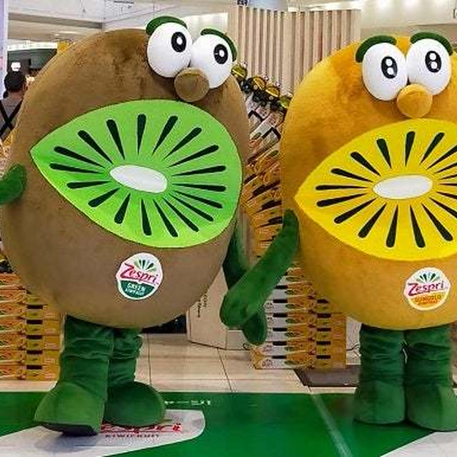 キウイブラザーズに会いに行ってきました&ガラポン抽選会の結果は