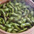 蒸し枝豆(枝豆の蒸し方)