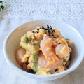 【アンチエイジングな食ケア】『エビとアボカドの味噌卵サラダ』美肌レシピ