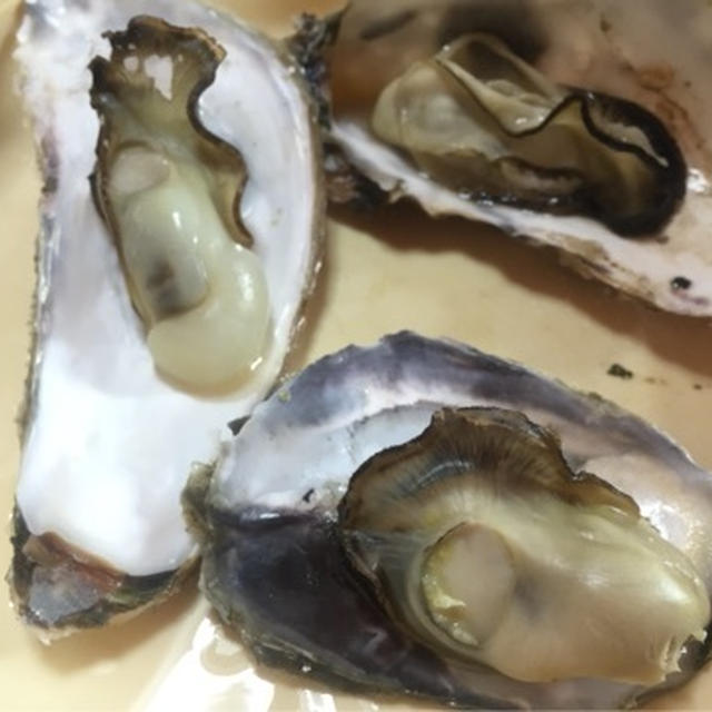 今日は