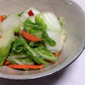 白菜の塩麹漬け