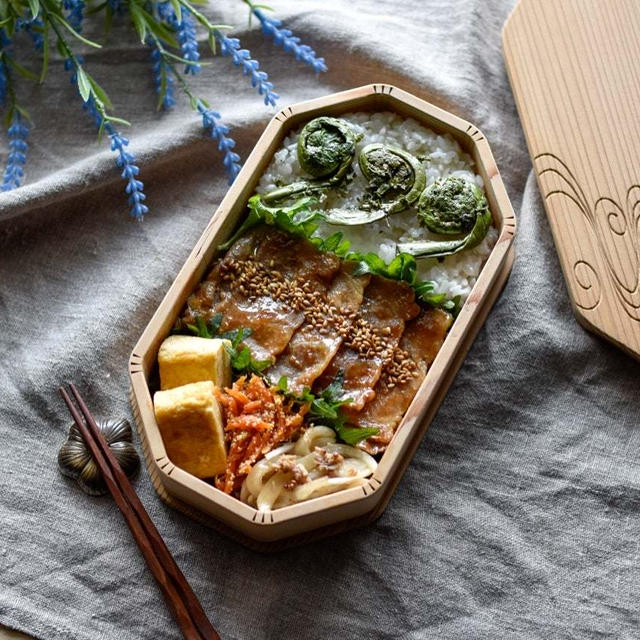 【お弁当作り】美味しかった副菜レシピとすき間に潜むイッヌ。