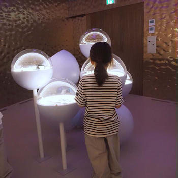 【大阪・関西万博レポ④】現代アートや植物の香りに癒される！ポーランドパビリオン