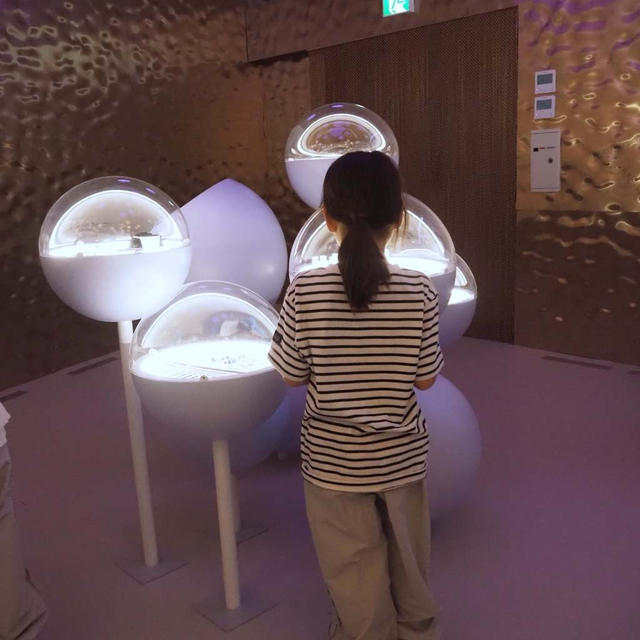【大阪・関西万博レポ④】現代アートや植物の香りに癒される！ポーランドパビリオン