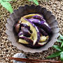 レンチンで鮮やか紫♡トロ〜！ジュワ〜！が最高な茄子のナムル。