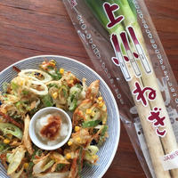 〈群馬県産上州ねぎ〉上州ねぎとシラスのかき揚げ