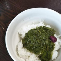 シソ梅めかぶご飯　～二日酔いの旦那へささぐ～　「ハウス食品×レシピブログ」コラボ企画のスパイスを使ってみた #しそ梅 #ヘルシー #簡単