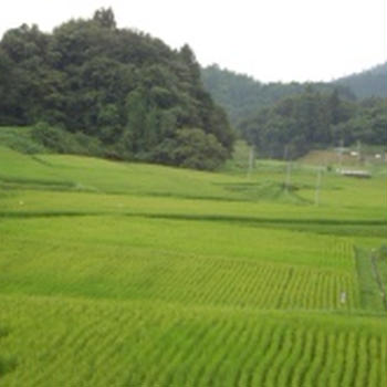 岩手県農薬管理使用アドバイザー。