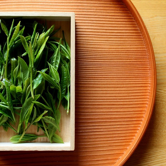 日本茶の文化を伝承する新機軸『嬉野茶時 in 雲海』特別賞味会