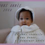アルバム２００８