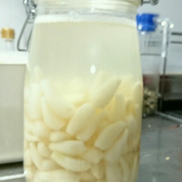 新たな試みで、発酵食品