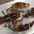 Canadian Capelin