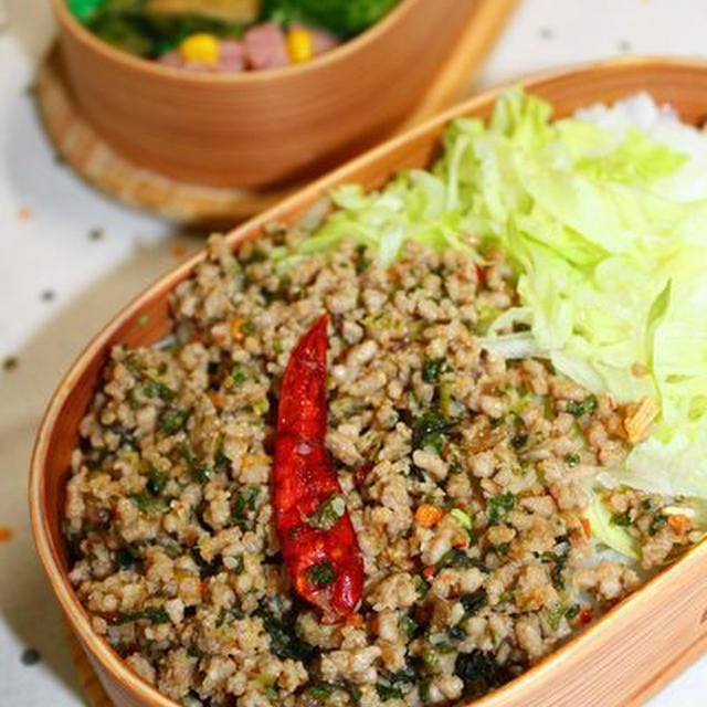 普通弁**タイ風ひき肉とミントの葉のサラダ＆お願い