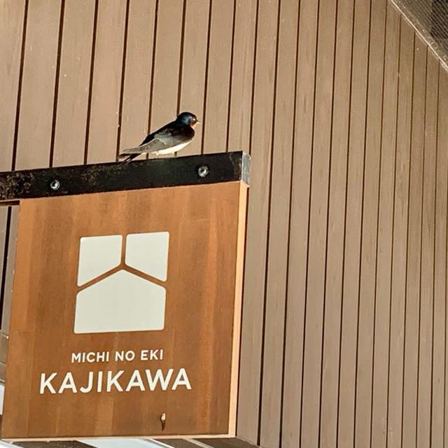 道の駅加治川のSAKURA cafeで加治川らーめん