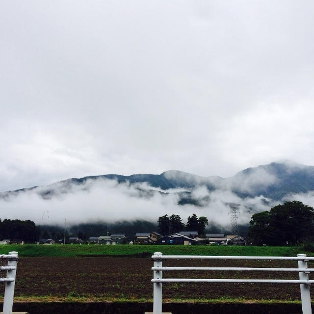 福井県にいます