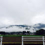 福井県にいます
