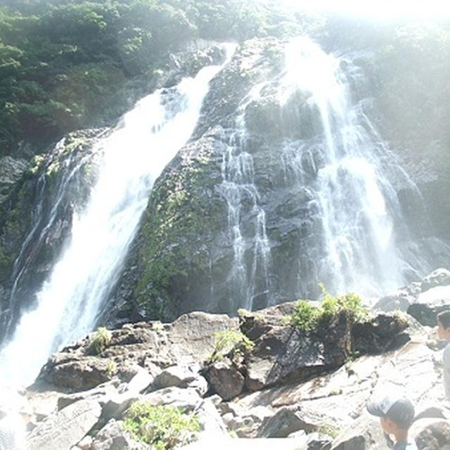 写真(屋久島)