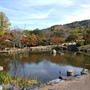 そうだ京都、行こう。＠ 円山公園