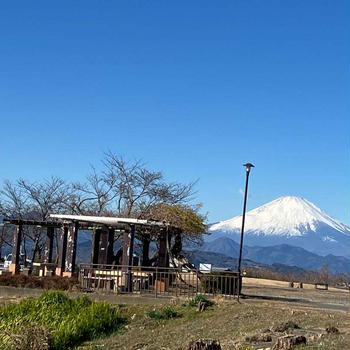 山登り♡読書