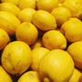 【イベントレポ】春のレモンサワー祭り【瀬戸内レモンを、浴びるほどに】