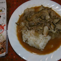 香り豊かなビーフストロガノフ