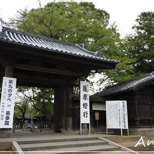 ☆川越散歩①：喜多院☆