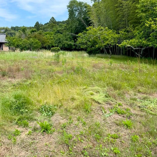 三重県へ行ってもやる事は同じ。の、話。