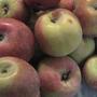 アメリカンレシピで作るホームメードアップルパイの作り方?無農薬有機りんご使用で子供と一緒にクッキング！その2