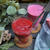 Beet Smoothie ビーツスムージー