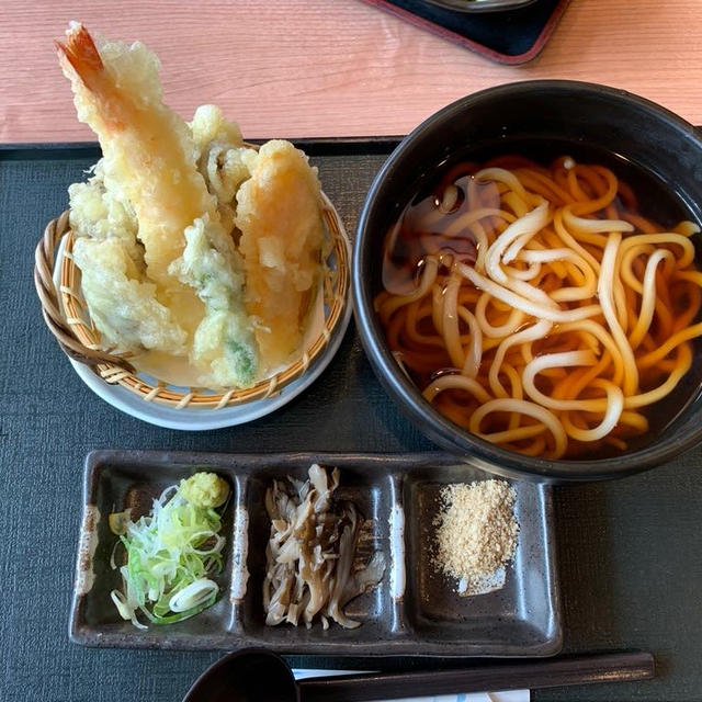 赤城高原SA下り　水沢うどん　天ぷらうどんと肉汁うどん