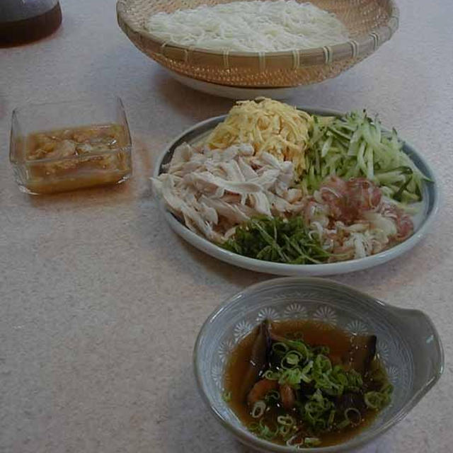 具たくさん冷やし素麺