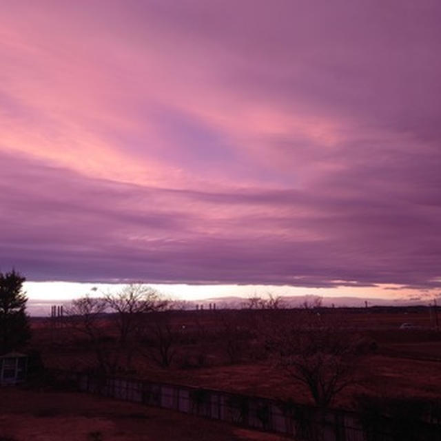 きれいに夕焼けが見えるようになったと感じた３月とつくりおき